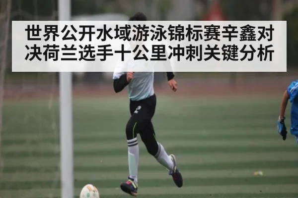 世界公开水域游泳锦标赛辛鑫对决荷兰选手十公里冲刺关键分析